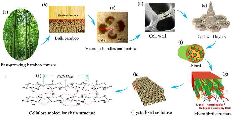 info-758-377 info-758-377